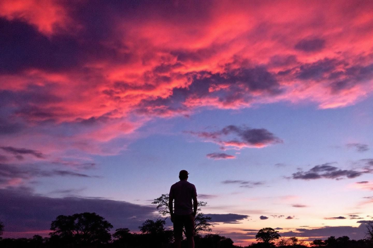Le safari est-il adapté aux familles avec enfants ?